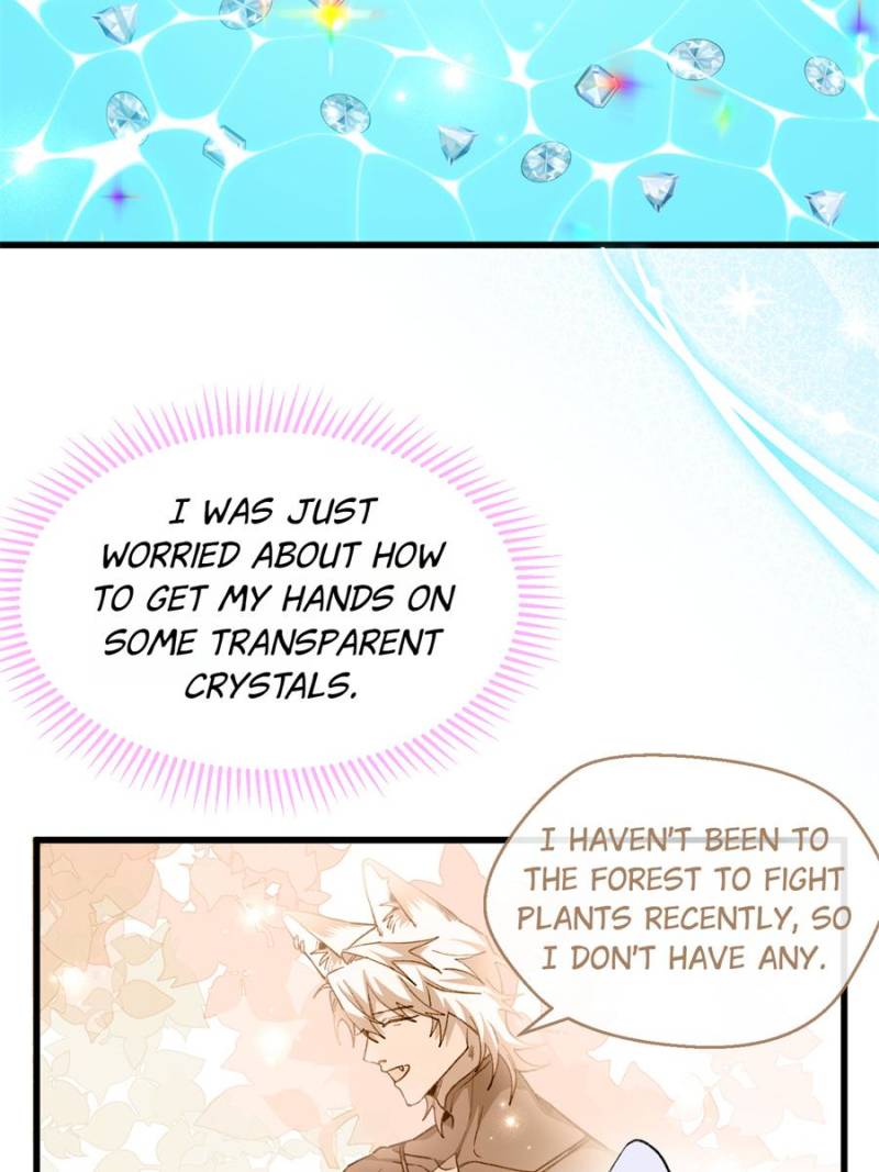 81497578 800 1067 77557